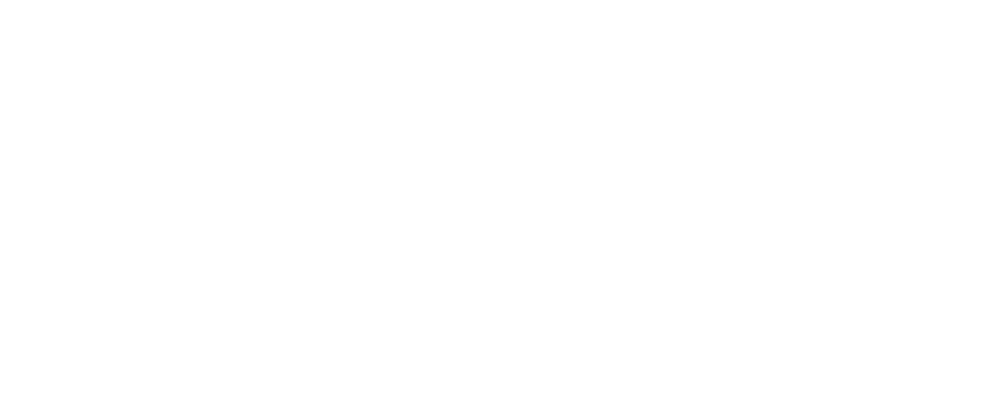 dang-pt_logo_white_3