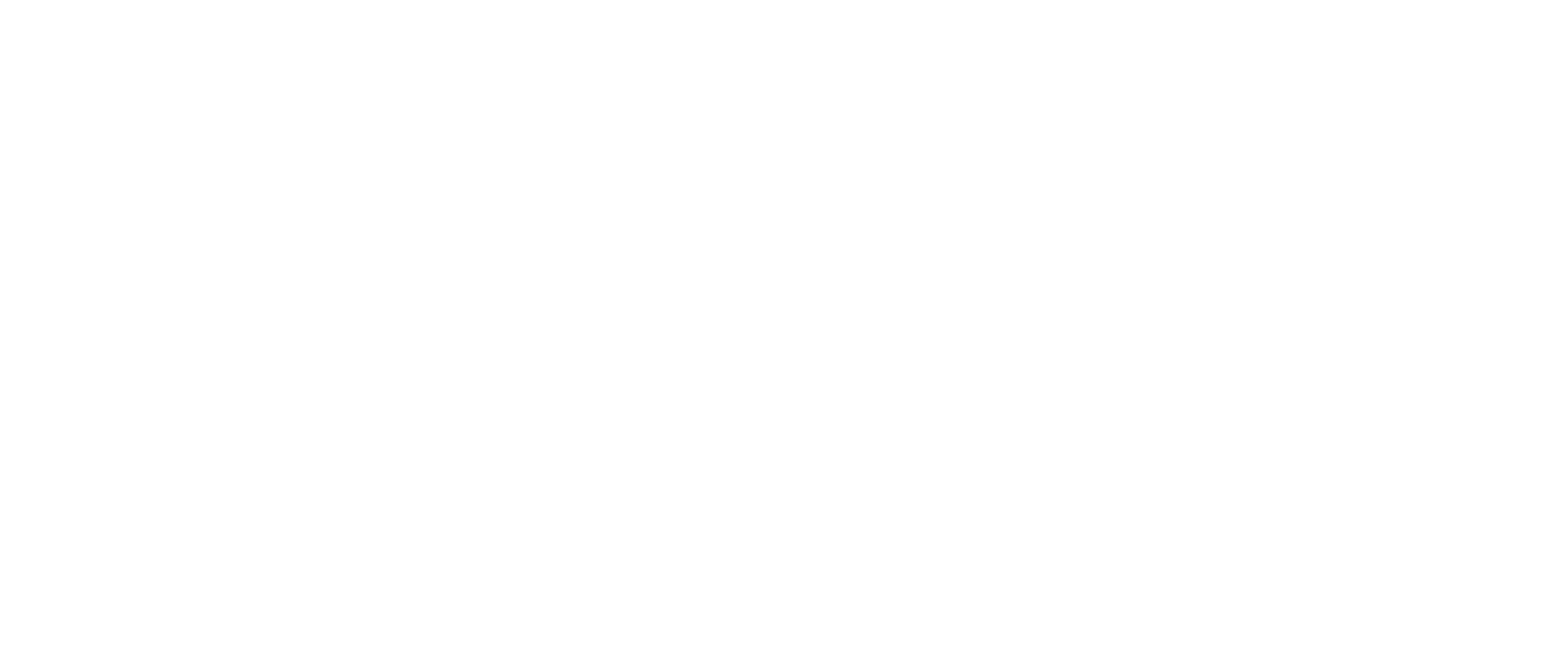 dang-pt_logo_white_3